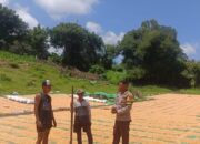 Kapolsek Pekat Dorong Bhabinkamtibmas Aktif Dampingi Petani di Desa Binaan