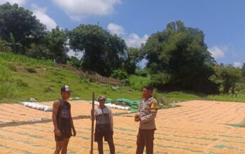 Kapolsek Pekat Dorong Bhabinkamtibmas Aktif Dampingi Petani di Desa Binaan
