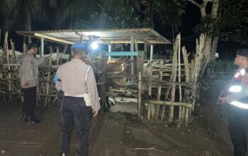 Polsek Sekotong Patroli Malam Cegah Pencurian Sapi