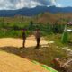 POLSEK HU’U DORONG PETANI JAGUNG TINGKATKAN PRODUKTIVITAS HASIL PANEN