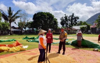 BHABINKAMTIBMAS DESA SAWE MONITORING HASIL PANEN JAGUNG WARGA DI KECAMATAN HU’U