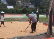 BHABINKAMTIBMAS POLSEK KEMPO PANTAU HASIL PANEN JAGUNG WARGA DUKUNG KETAHANAN PANGAN NASIONAL