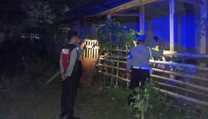 Cegah Pencurian Ternak Sapi, Polsek Sekotong Patroli Malam