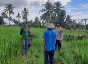 BHABINKAMTIBMAS POLSEK PEKAT AJAK PETANI DUKUNG PROGRAM KETAHANAN PANGAN