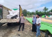 BHABINKAMTIBMAS DESA O’O POLSEK DOMPU PANTAU HASIL PANEN JAGUNG WARGA UNTUK DUKUNG PROGRAM KETAHANAN PANGAN