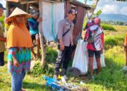 PANEN PADI DI WAWONDURU DIPANTAU BHABINKAMTIBMAS, POLRI DUKUNG PANGAN NASIONAL
