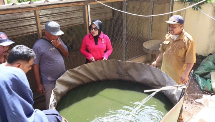 Bhayangkari Lombok Utara Terima Ribuan Benih Ikan dari DKP NTB untuk Dukung P2B