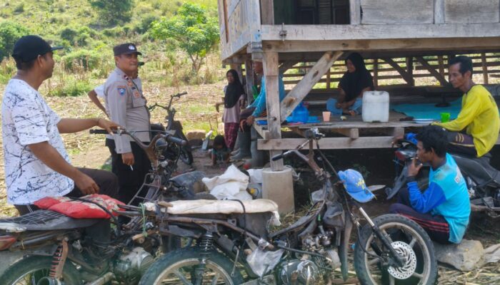 BHABINKAMTIBMAS DESA KRAMAT SAMBANGI PETANI JAGUNG DUKUNG PROGRAM KETAHANAN PANGAN