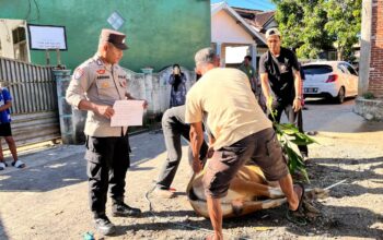 Bhabinkamtibmas Seteluk Tengah Dampingi Pemotongan Hewan Kurban Polres Sumbawa Barat
