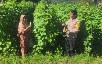 Bhabinkamtibmas Desa Manemeng Dampingi Pengelolaan Pekarangan Pangan Bergizi, Dorong Ketahanan Pangan Masyarakat