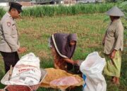 Bhabinkamtibmas Polsek Labuapi Dampingi Petani Olah Lahan