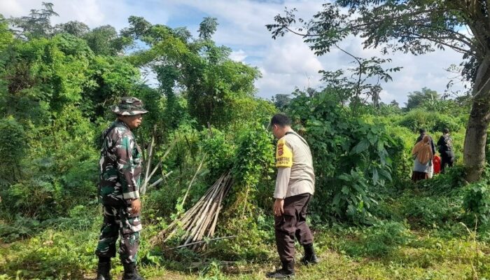 Sinergi TNI-Polri di Lombok Barat Sulap Lahan Tidur Jadi Kunci Swasembada Pangan Nasional