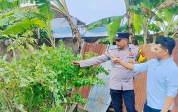 Kemandirian Pangan Dimulai dari Rumah, Bhabinkamtibmas di Lombok Barat Edukasi Warga Manfaatkan Lahan Kosong Secara Maksimal