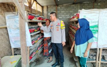Dukung Keyahanan Pangan, Bhabinkamtibmas Desa Bagik Papan Cek Peternakan Burung Puyuh