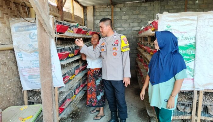 Dukung Keyahanan Pangan, Bhabinkamtibmas Desa Bagik Papan Cek Peternakan Burung Puyuh