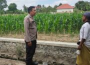 Transformasi Humanis Polri: Saat Bhabinkamtibmas dan Petani Bersinergi Demi Kedaulatan Pangan