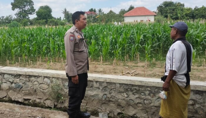 Transformasi Humanis Polri: Saat Bhabinkamtibmas dan Petani Bersinergi Demi Kedaulatan Pangan
