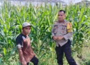 Polsek Labuapi Kawal Ketahanan Pangan di Desa Bagik Polak