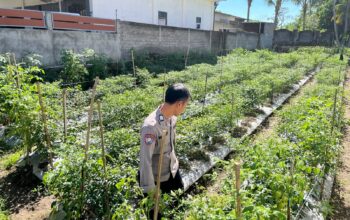 Bhabinkamtibmas Desa Kumbang Monitoring Ketahanan Pangan dan Ajak Warga Jaga Kamtibmas