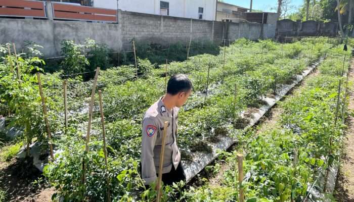 Bhabinkamtibmas Desa Kumbang Monitoring Ketahanan Pangan dan Ajak Warga Jaga Kamtibmas