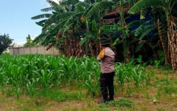 Polsek Labuapi Dorong Warga Manfaatkan Pekarangan untuk Ketahanan Pangan