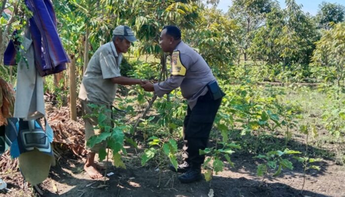 Bhabinkamtibmas Lombok Barat Dampingi Petani Hortikultura Sukseskan Ketahanan Pangan