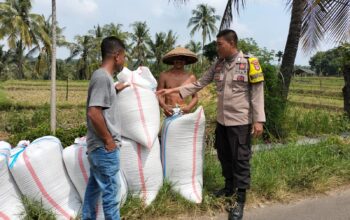Bhabinkamtibmas Desa Bagik Papan Cek Hasil Panen Padi dan Berikan Himbauan Kamtibmas kepada Warga