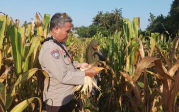 Polisi Ajak Warga Sandik Lombok Barat Manfaatkan Lahan Kosong
