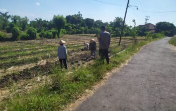 KonseBhabinkamtibmas Desa Surabaya Sambang dan Silaturahmi dengan Warga, Ajak Dukung Ketahanan Pangan serta Jaga Kamtibmas Otomatis