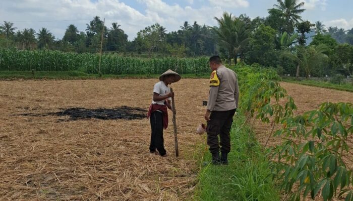 Bhabinkamtibmas Desa Sukadana Monitoring Tanaman Jagung Milik Kelompok Tani Dile Semprong I