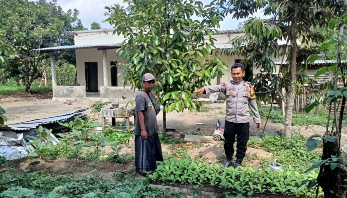 BHABINKAMTIBMAS KELURAHAN JONTLAK DORONG KETAHANAN PANGAN MELALUI DDS DAN SILATURAHMI DENGAN WARGA