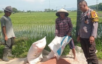 Bhabinkamtibmas Labuapi Pacu Sektor Pangan Desa Kuranji