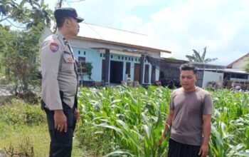 Bhabinkamtibmas Labuapi Sulap Lahan Kosong Warga