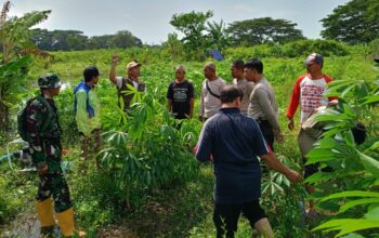 Polsek Batulayar Giatkan Ketahanan Pangan di Duduk Atas