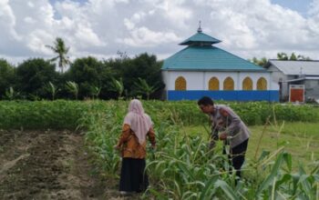 Bhabinkamtibmas Labuapi Dorong Warga Tanam Cabai di Pekarangan