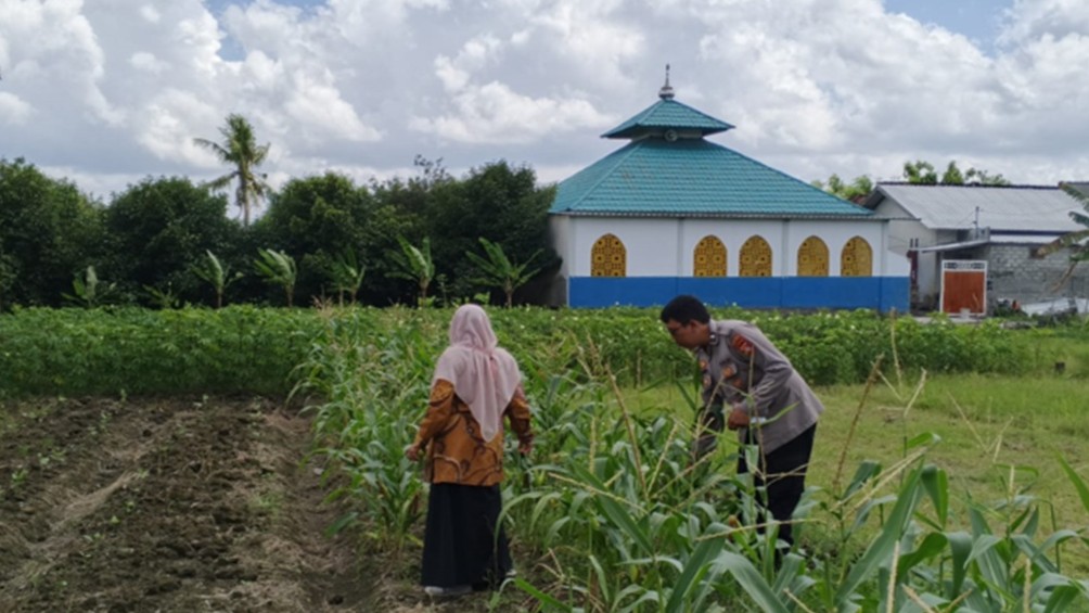 Bhabinkamtibmas Labuapi Dorong Warga Tanam Cabai di Pekarangan