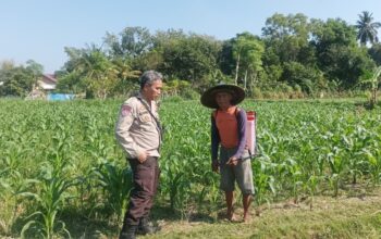 Swasembada Pangan Nasional: Polsek Batulayar Edukasi Warga