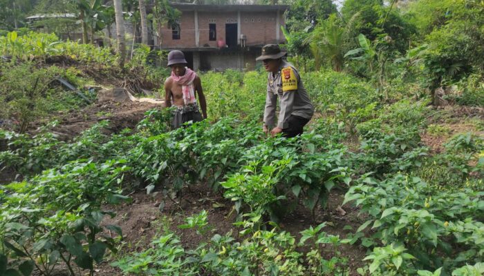 Bhabinkamtibmas Desa Setuta Ajak Warga Manfaatkan Pekarangan dan Jaga Kamtibmas Lingkungan