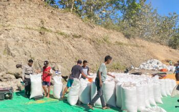 BHABINKAMTIBMAS POLSEK DOMPU PANTAU HASIL PANEN JAGUNG WARGA, DUKUNG PROGRAM KETAHANAN PANGAN NASIONAL