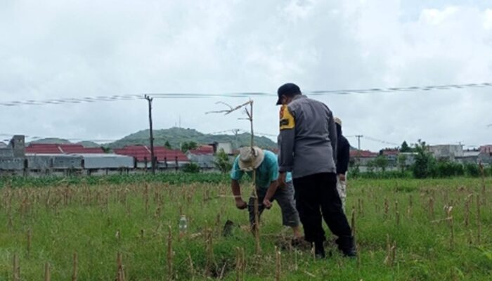 Bhabinkamtibmas Karang Bongkot Dorong Ketahanan Pangan