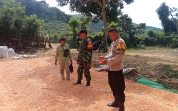 BHABINKAMTIBMAS DAN BABINSA DESA MADAPRAMA SAMBANGI PETANI JAGUNG, PERKUAT KETAHANAN PANGAN DAN JAGA KAMTIBMAS