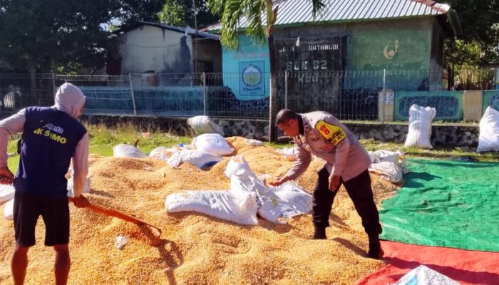 Bhabinkamtibmas dan Petani Bersinergi Perkuat Ketahanan Pangan di Kabupaten Dompu