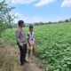 Bhabinkamtibmas Polsek Plampang Dampingi Petani Kacang Hijau di Orong Usar