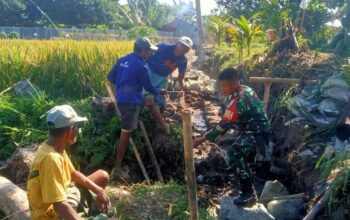 Babinsa Dampingi Pentaludan Irigasi Demi Ketahanan Pangan Petani