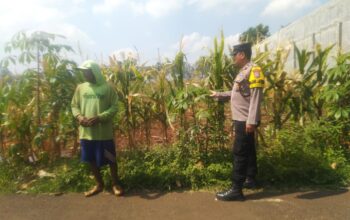Bhabinkamtibmas Desa Kembangbilo Pererat Kemitraan dengan Petani Melalui Monitoring Lahan Jagung