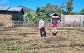 MELALUI PENDAMPINGAN PETANI, POLRI PERKUAT KETAHANAN PANGAN DARI DESA