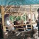 Wujudkan Wisata Yang Aman, Polsek Madapangga Polres Bima Kabupaten Gelar Patroli Wisata di