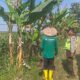Polri Dukung Astacita, Polsek Rengel Polres Tuban Turun Cek Tanaman Jagung Warga di Desa Kebonagung