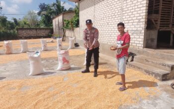 Polri Dukung Astacita, Polsek Semanding Polres Tuban Turun Cek Tanaman jagung milik Warga di Desa Prunggahan kulon