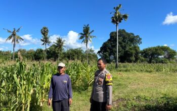 Dukung Program Asta Cita, Bhabinkamtibmas Desa Kelawis Sambangi Petani Jagung